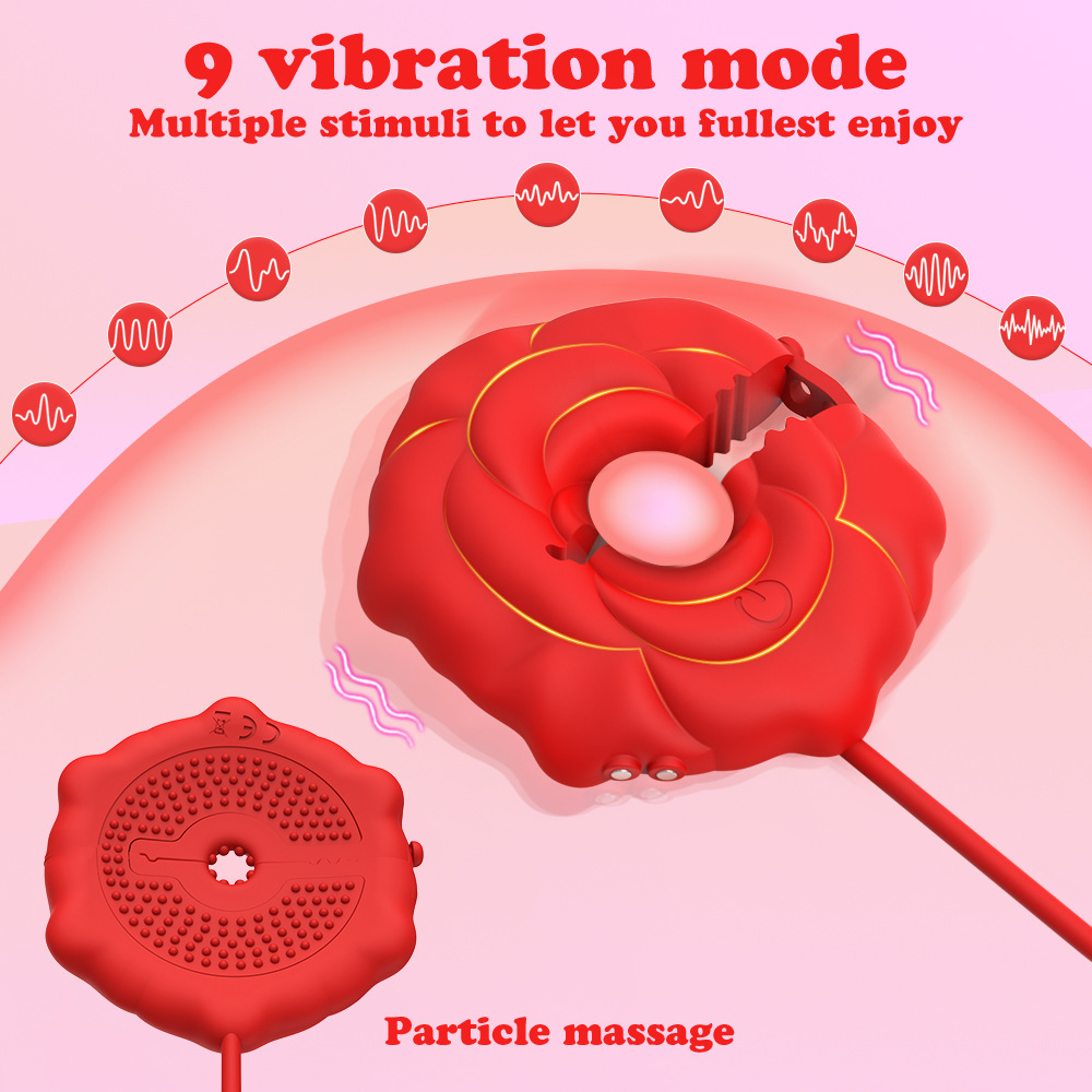 Nipple Clamps Vibrator 9 Vibra - Women Accessories App recension och pris
